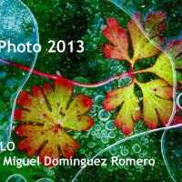 Obra galardonada en MonPhoto 2013