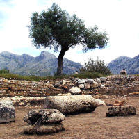 Vista en detalle de parte del Foro de Ocvri con el muro perimetral (¿tabernas?) al fondo. En primer plano basas, fustes y otros elementos constructivos (Foto: Yacimiento de Ocvri).