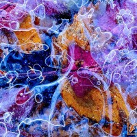 La fotografía premiada en el concurso, obra de Andrés M. Domínguez