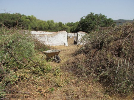 Cementerio de la Sauceda