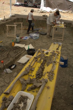 Clasificación de restos óseos a pie de campo en una de las fosas comunes del Marrufo (Foto: Juande).