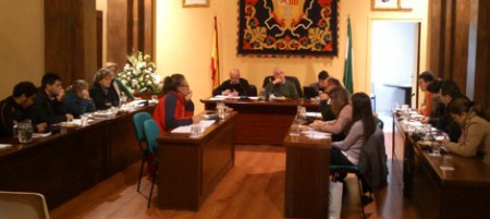 Pleno municipal del 28 de noviembre de 2012.