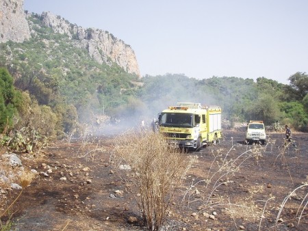 VEhículos de bomberos en la zona del incendio.