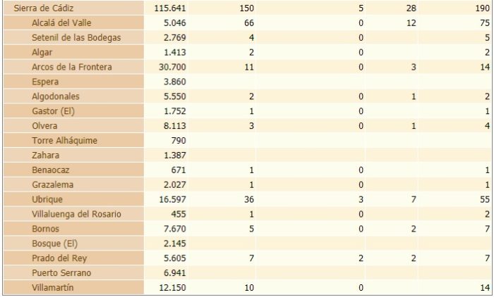 Estadística de incidencia del coronavirus en la Sierra de Cádiz.
