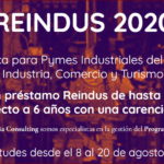 Captura de la web del Programa Reindus.