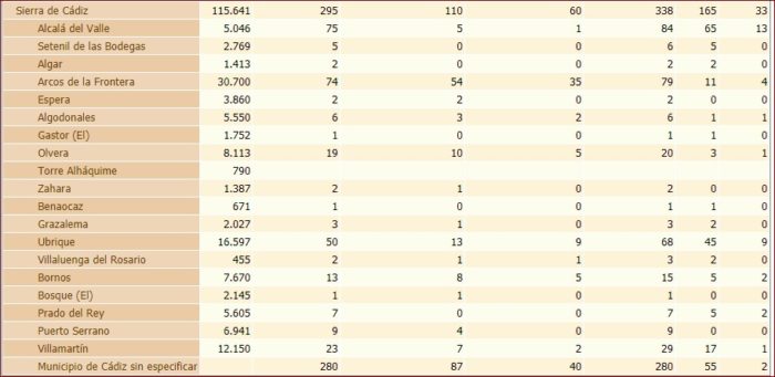 Estadística de incidencia del coronavirus en la Sierra de Cádiz. Fuente: Consejería de Salud y Familias de la Junta de Andalucía.