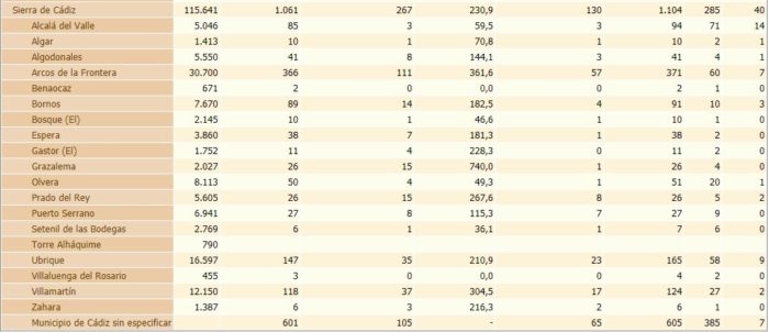 Incidencia del coronavirus en la Sierra de Cádiz, según la Junta.