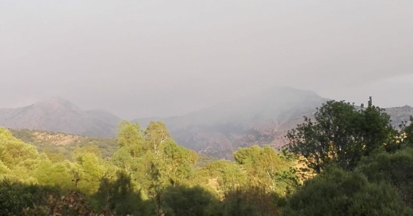Reflexiones ante el incendio en Sierra Bermeja