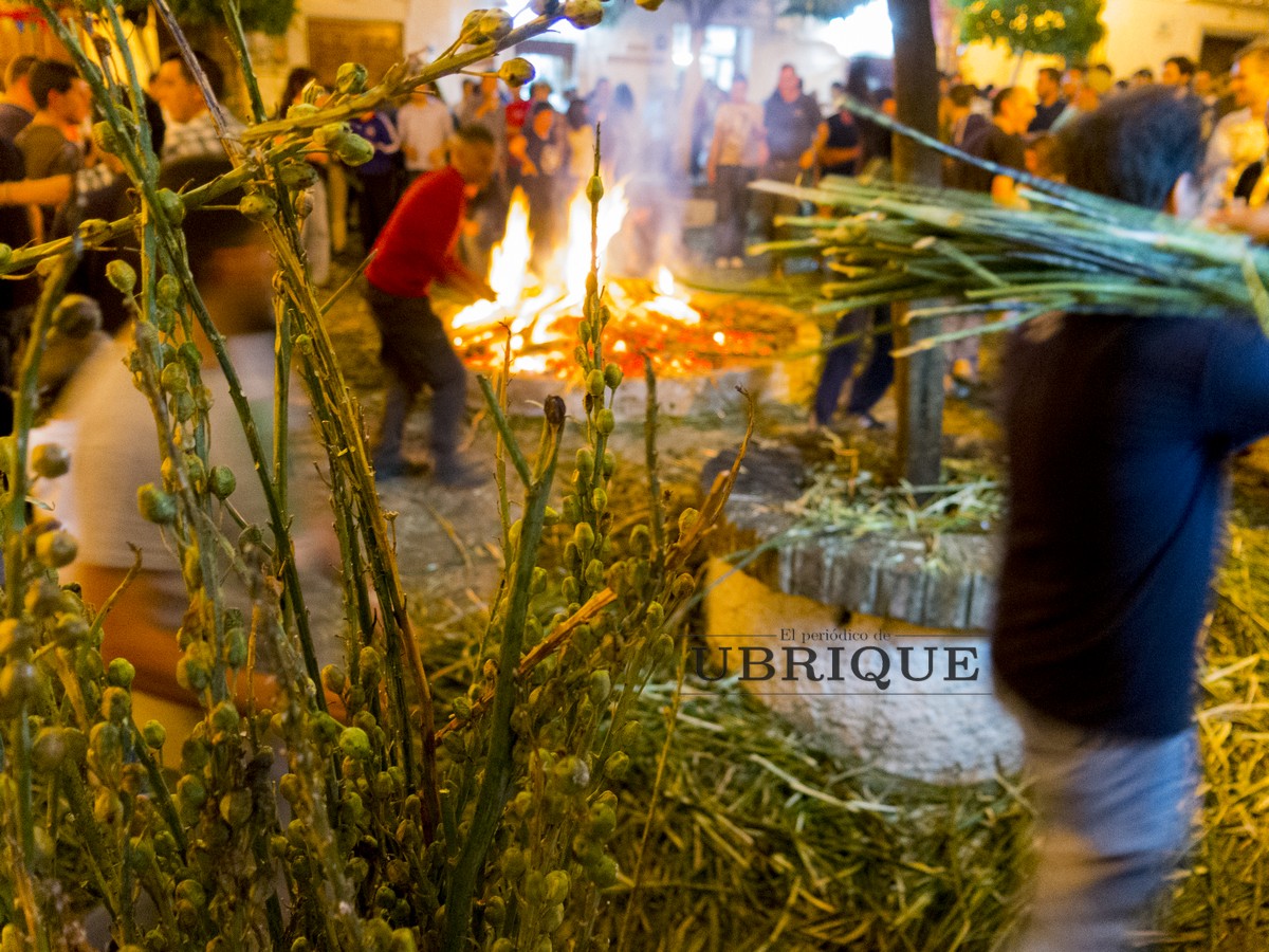 Celebración de la fiesta de la crujida de gamones en Ubrique. (Foto: JUANDE)